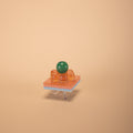 Popper 017