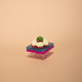 Popper 016